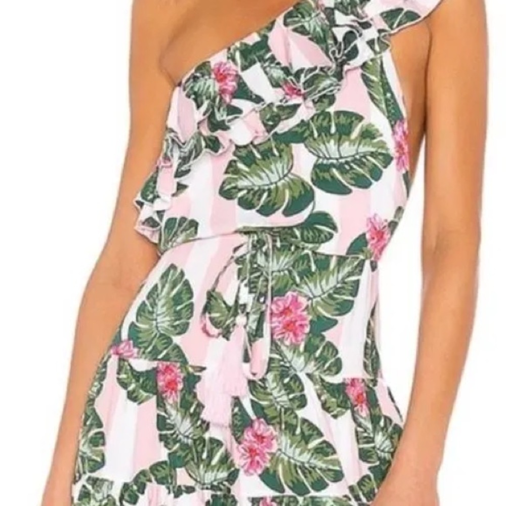 Lovers + Friends Pink and Green mini dress